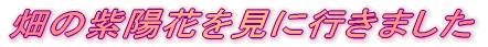 お庭でのんびり